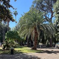 Castellammare di Stabia, caldo record: il sindaco invita a rifugiarsi tra  spiagge, verde  e Villa Gabola