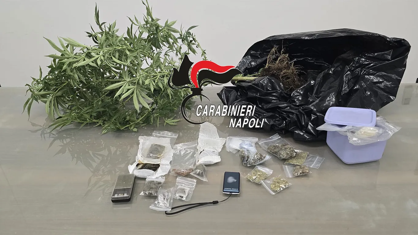 Spacciava hashish e marijuana, in casa anche una piantina: arrestato 23enne incensurato