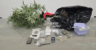 Spacciava hashish e marijuana, in casa anche una piantina: arrestato 23enne incensurato