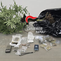 Spacciava hashish e marijuana, in casa anche una piantina: arrestato 23enne incensurato