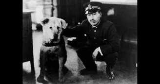 La storia vera di Hachiko, il cane che aspettò il suo padrone per quasi dieci anni