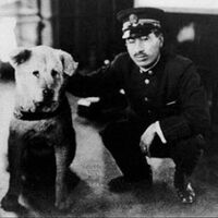 La storia vera di Hachiko, il cane che aspettò il suo padrone per quasi dieci anni