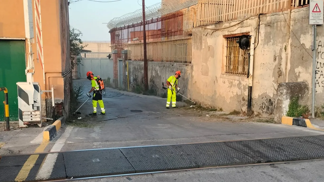 Torre Annunziata, verde pubblico: quattro operai al lavoro sul Lungomare di Oplonti