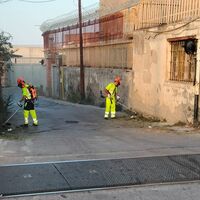 Torre Annunziata, verde pubblico: quattro operai al lavoro sul Lungomare di Oplonti