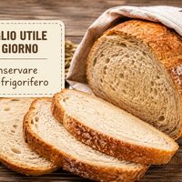 Non conservare il pane in frigorifero