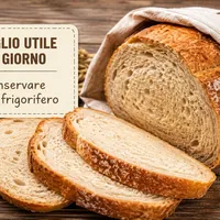 Non conservare il pane in frigorifero