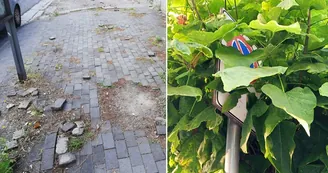 Torre del Greco, via Nazionale nel degrado: buche, tombini sprofondati e marciapiedi pericolosi