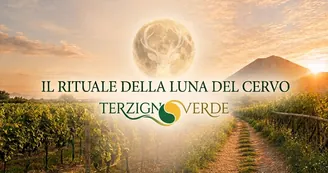 Vesuvio sotto la Luna del Cervo: escursione serale tra natura e benessere