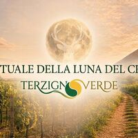 Vesuvio sotto la Luna del Cervo: escursione serale tra natura e benessere