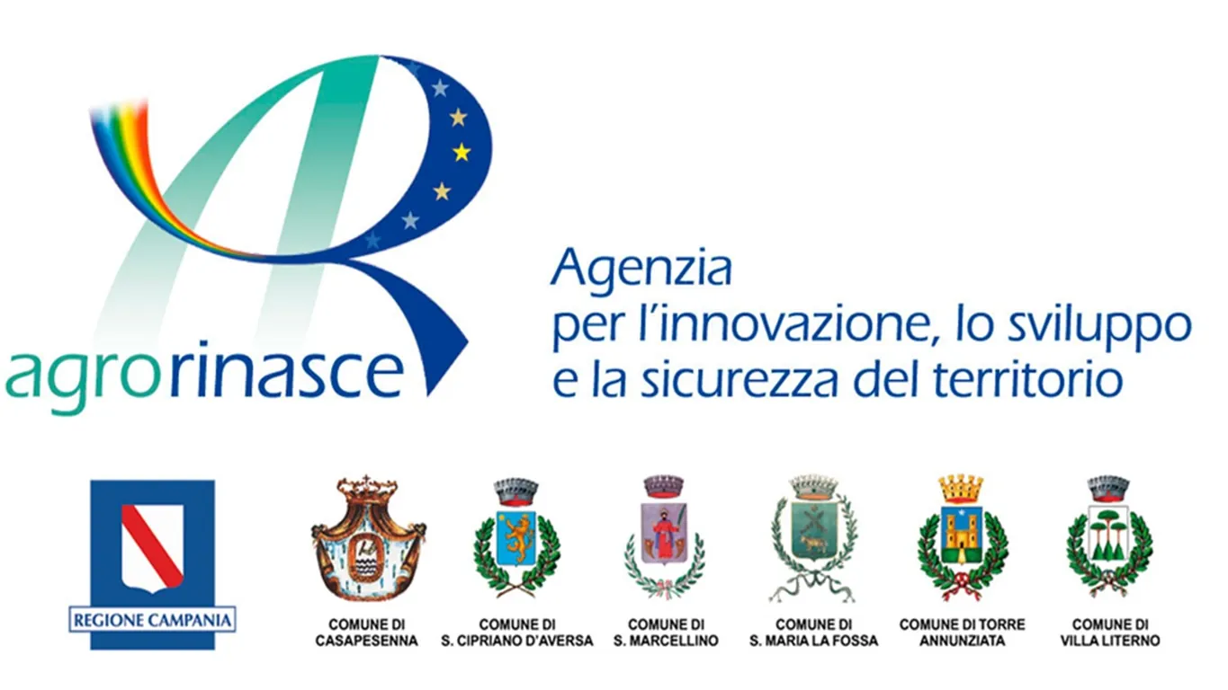 Agrorinasce cerca neolaureato in ingegneria civile-architettura