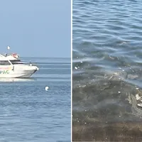 Torre Annunziata, Arpac in mare a Capo Oncino: prelievi dopo le denunce sui liquami