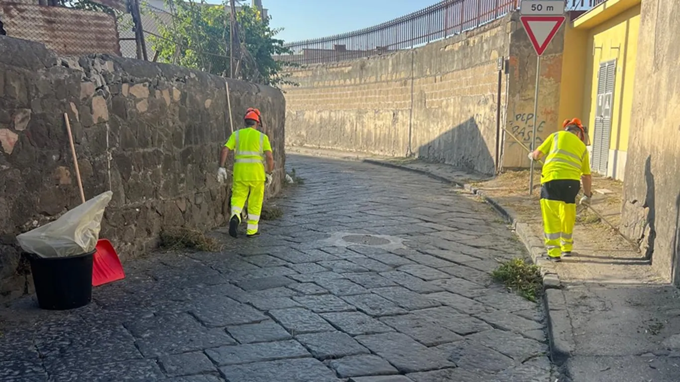 Torre Annunziata, al via il nuovo piano di manutenzione del verde pubblico: ecco il cronoprogramma