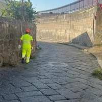 Torre Annunziata, al via il nuovo piano di manutenzione del verde pubblico: ecco il cronoprogramma