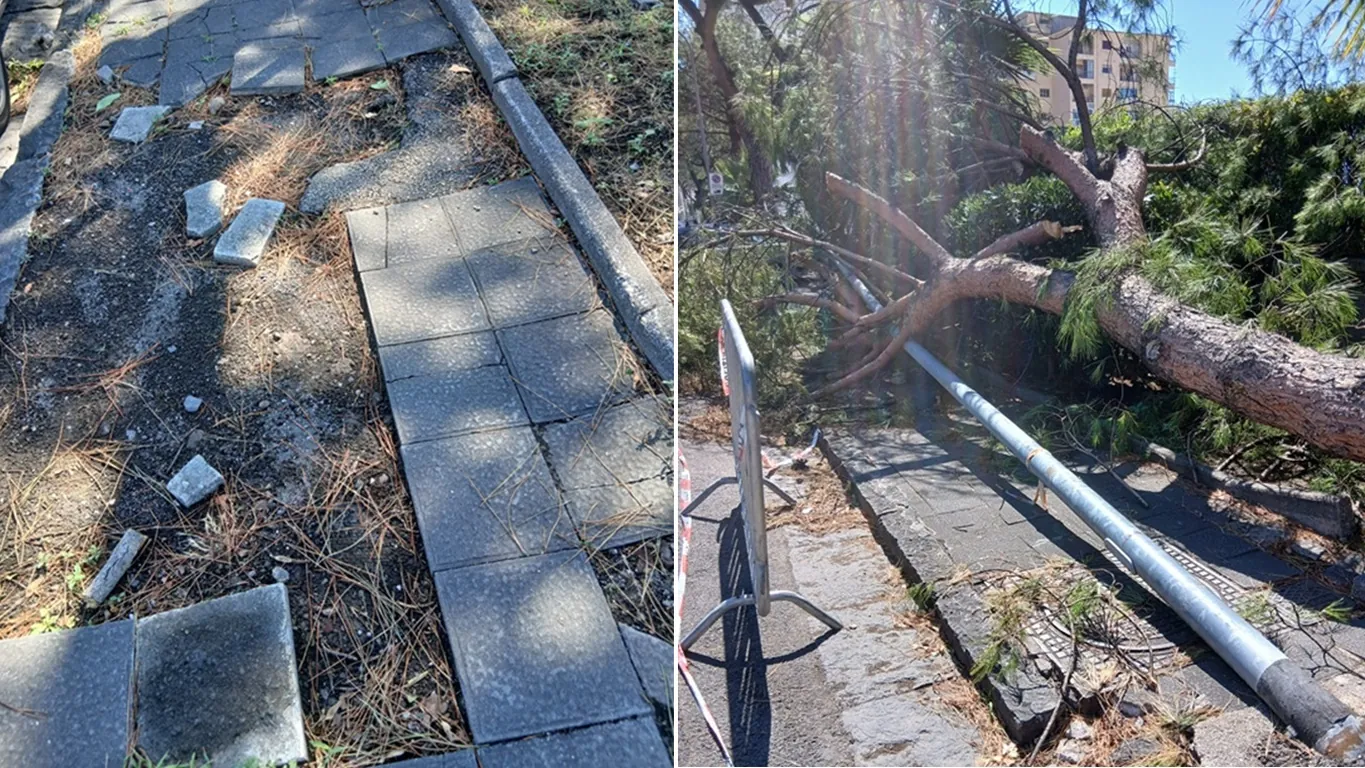Torre Annunziata, via Caravelli nel degrado: marciapiedi dissestati, alberi caduti e strada da rifare