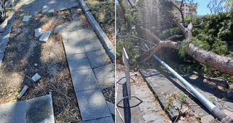 Torre Annunziata, via Caravelli nel degrado: marciapiedi dissestati, alberi caduti e strada da rifare