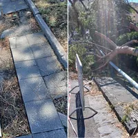 Torre Annunziata, via Caravelli nel degrado: marciapiedi dissestati, alberi caduti e strada da rifare