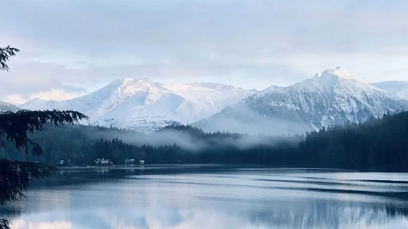 L'ultima frontiera naturalistica: organizzare una crociera in Alaska tra ghiacciai millenari e fauna selvatica