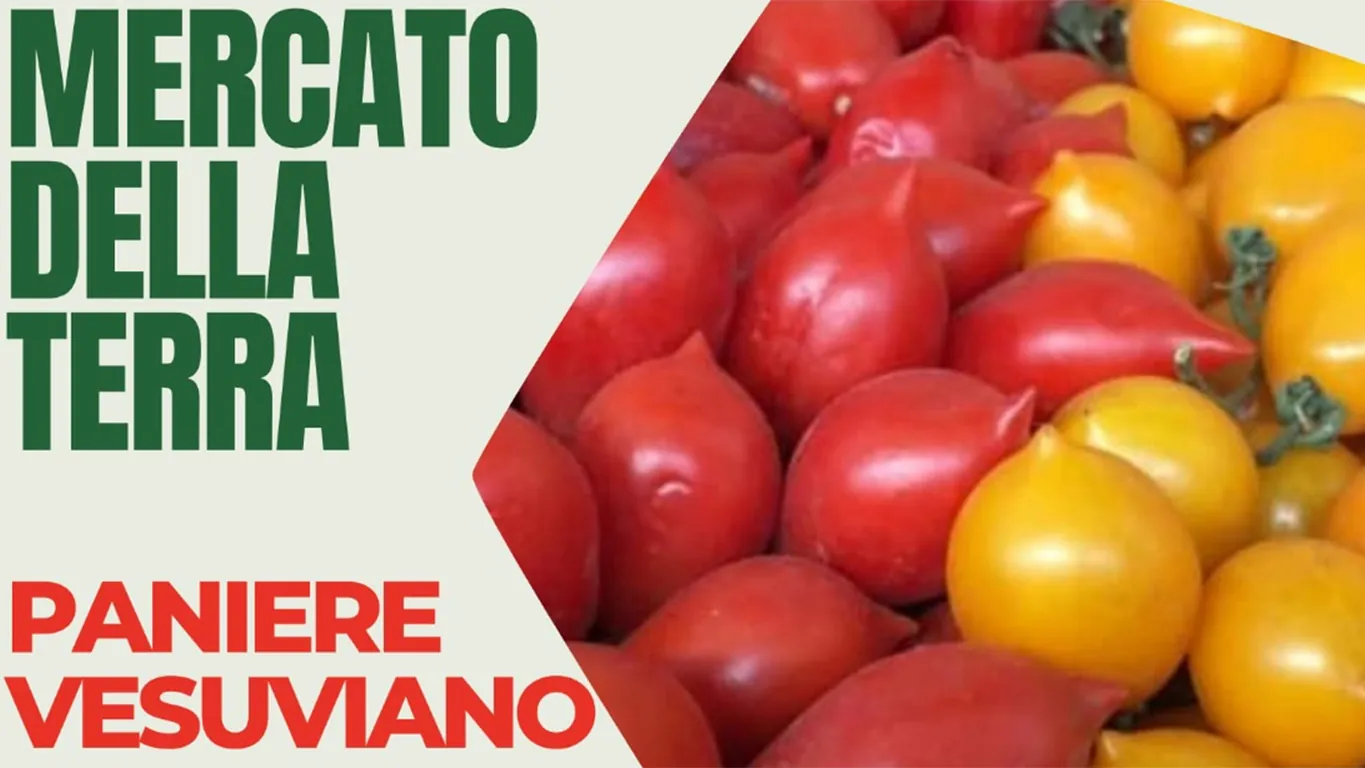 Boscoreale, torna il Mercato della Terra: protagonista il pomodoro vesuviano