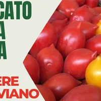 Boscoreale, torna il Mercato della Terra: protagonista il pomodoro vesuviano