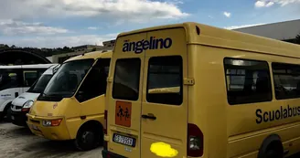 Torre del Greco, servizio di trasporto scolastco: 930 domande accolte
