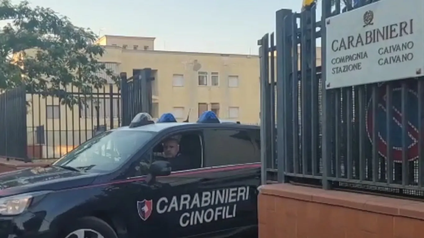 Caivano, insetti e vermi negli alimenti destinati ai minori: sospeso un deposito