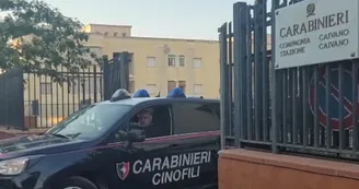 Caivano, insetti e vermi negli alimenti destinati ai minori: sospeso un deposito