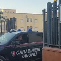 Caivano, insetti e vermi negli alimenti destinati ai minori: sospeso un deposito