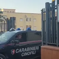 Caivano, insetti e vermi negli alimenti destinati ai minori: sospeso un deposito