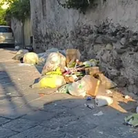 Torre Annunziata, ratti morti e rifiuti in via Commercio: Mazzella incalza la Commissione straordinaria