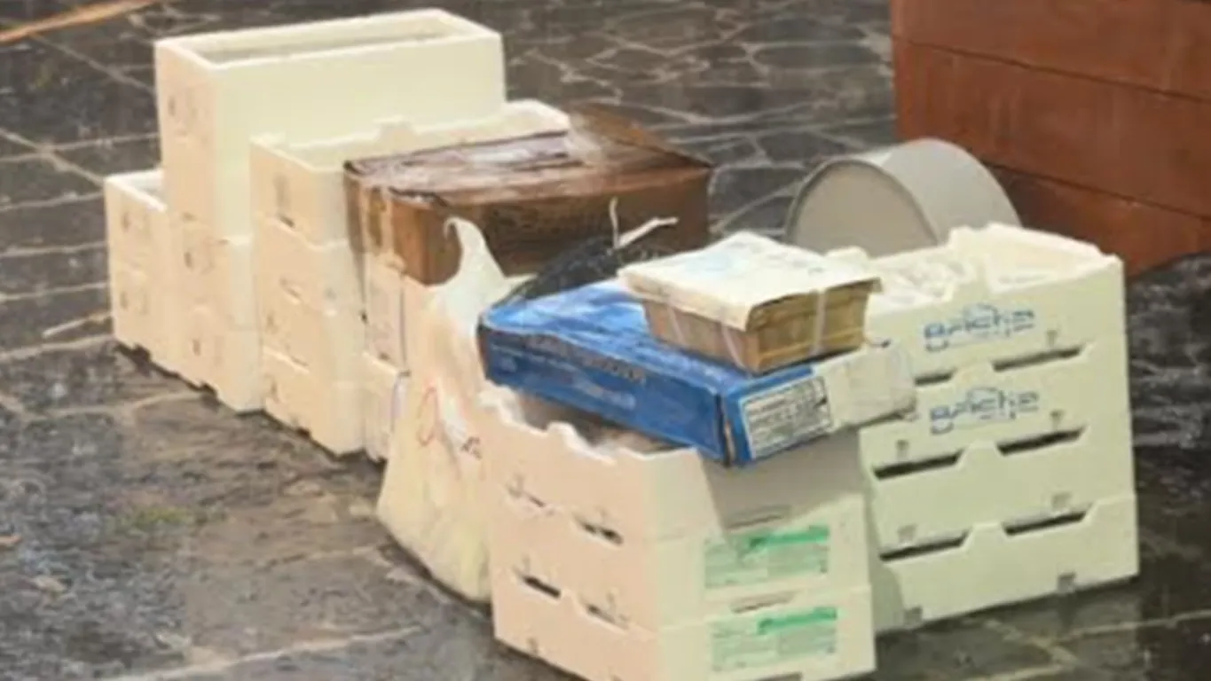 Torre Annunziata, sequestrati 260 chili di pesce senza tracciabilità