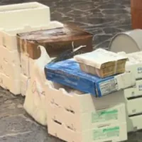 Torre Annunziata, sequestrati 260 chili di pesce senza tracciabilità