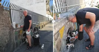 Torre del Greco, la colonia felina del Buon Consiglio: una storia di amore e solidarietà