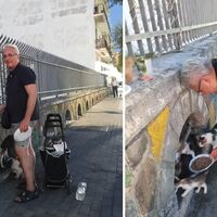 Torre del Greco, la colonia felina del Buon Consiglio: una storia di amore e solidarietà
