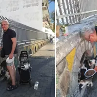 Torre del Greco, la colonia felina del Buon Consiglio: una storia di amore e solidarietà