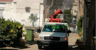 Torre Annunziata, disinfestazione notturna con inizio alle 22.30: le raccomandazioni ai cittadini