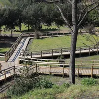 Terzigno, passeggiata e clean up sul Vesuvio: appuntamento sul Sentiero 11