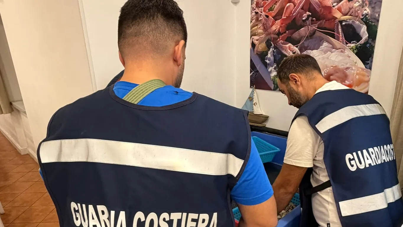 Torre del Greco, controlli nei ristoranti: sequestrati 100 chili di pesce senza tracciabilità