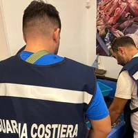 Torre del Greco, controlli nei ristoranti: sequestrati 100 chili di pesce senza tracciabilità