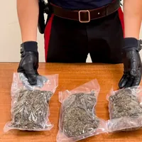 Gragnano, controlli antidroga: trovati 660 grammi di marijuana al Parco Sofia