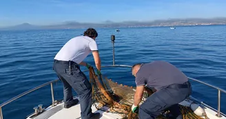 Torre del Greco, la Guardia Costiera rimuove rete abusiva nelle vicinanze del porto