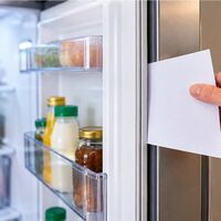 Frigorifero che consuma troppo? Il piccolo controllo che molti dimenticano