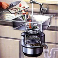 Punto Democratico: come smaltire i rifiuti umidi