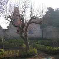 Pompei. Visite gratuite all´Orto Botanico degli scavi