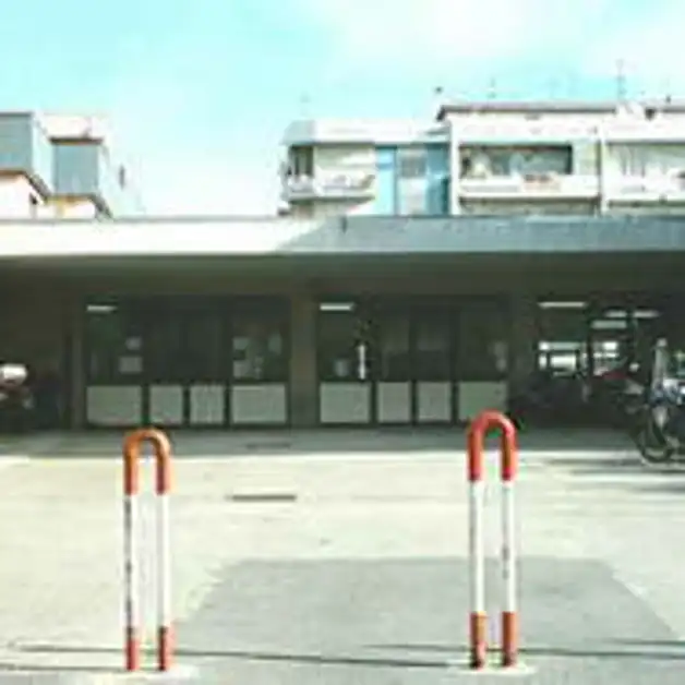 Tendostruttura, la sfida vincente dei liceali