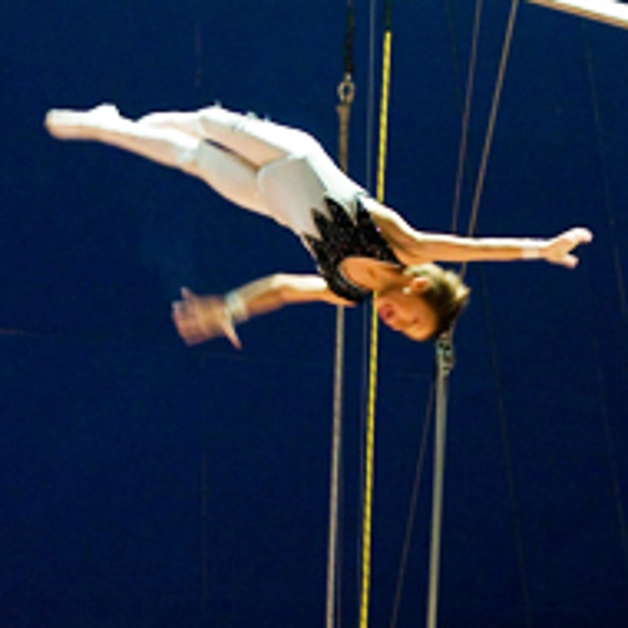 Dal 25 dicembre ritorna, dopo 10 anni, il Circo Orfei a Torre