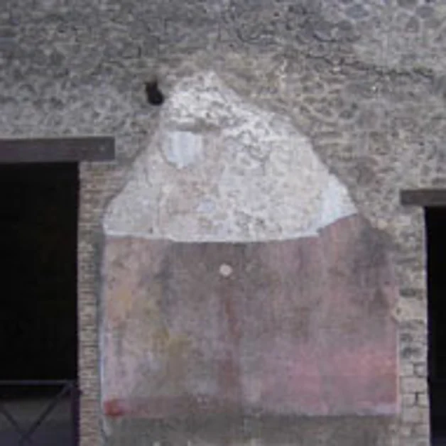 Pompei. Scavi, vento forte: cade intonaco dalla casa della Venere in conchiglia