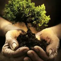 S. Giorgio a Cremano. La "rivoluzione verde" in piazza Troisi