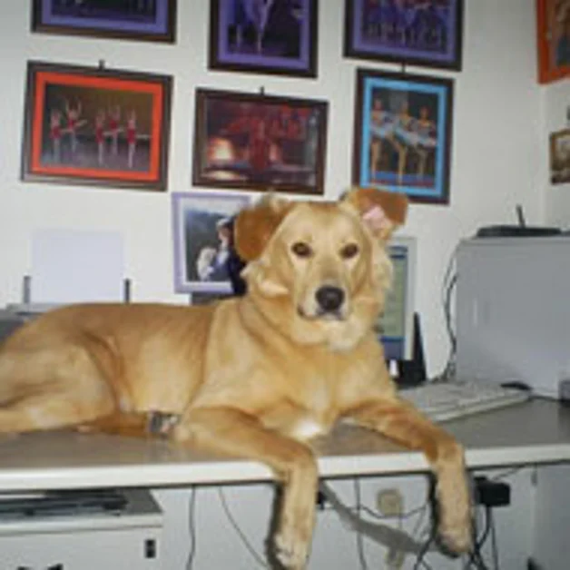 L´addio al cane Leo. Lettera in redazione della padrona