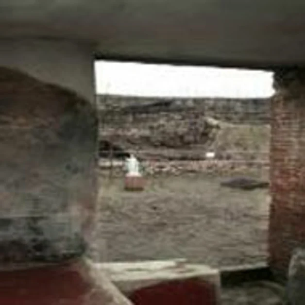 Pompei. Domus di Loreio Tiburtino, un altro crollo negli Scavi archoelogici