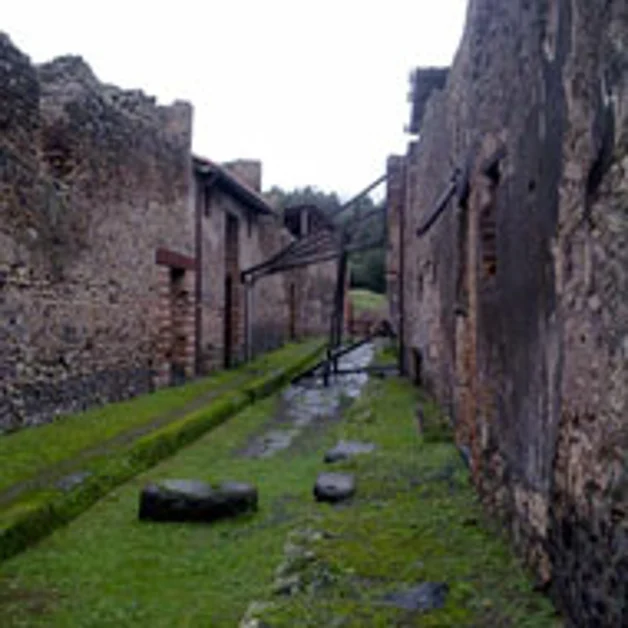 Pompei. Scavi, progetto di recupero illustrato dal Governo